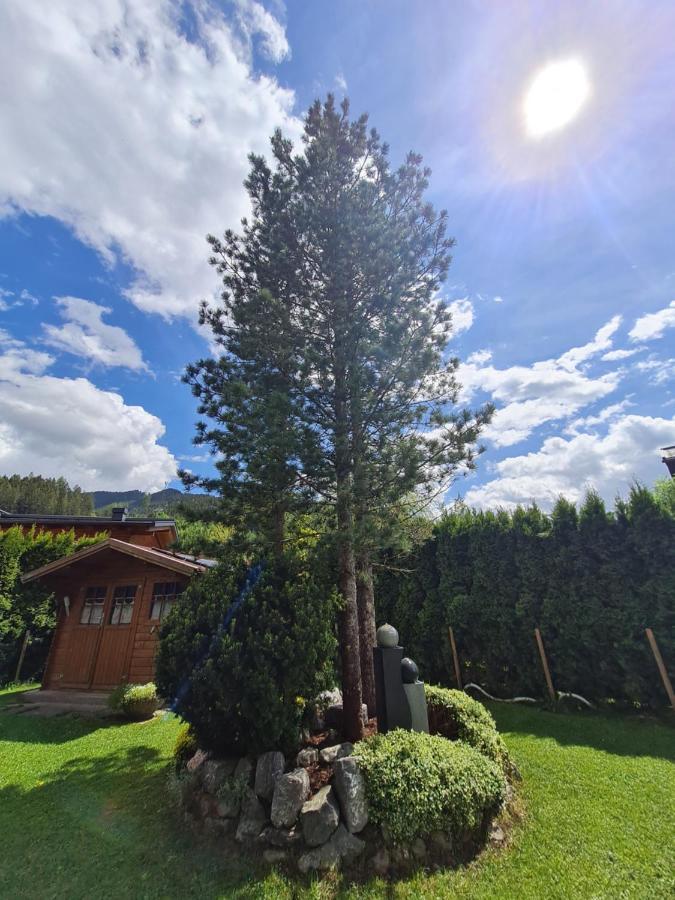 Gaestehaus Gamsblick Werfenweng Bagian luar foto